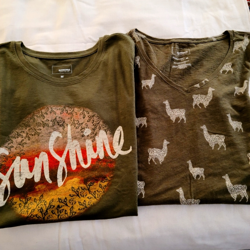 Tee Shirts size M